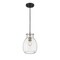 Z-Lite Bella 1 Light Mini Pendant, Matte Black & Clear 476MP-MB-BN - alternate 5